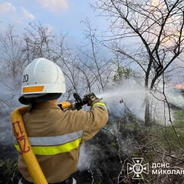 Пожежа у Миколаївській області. Фото: ДСНС