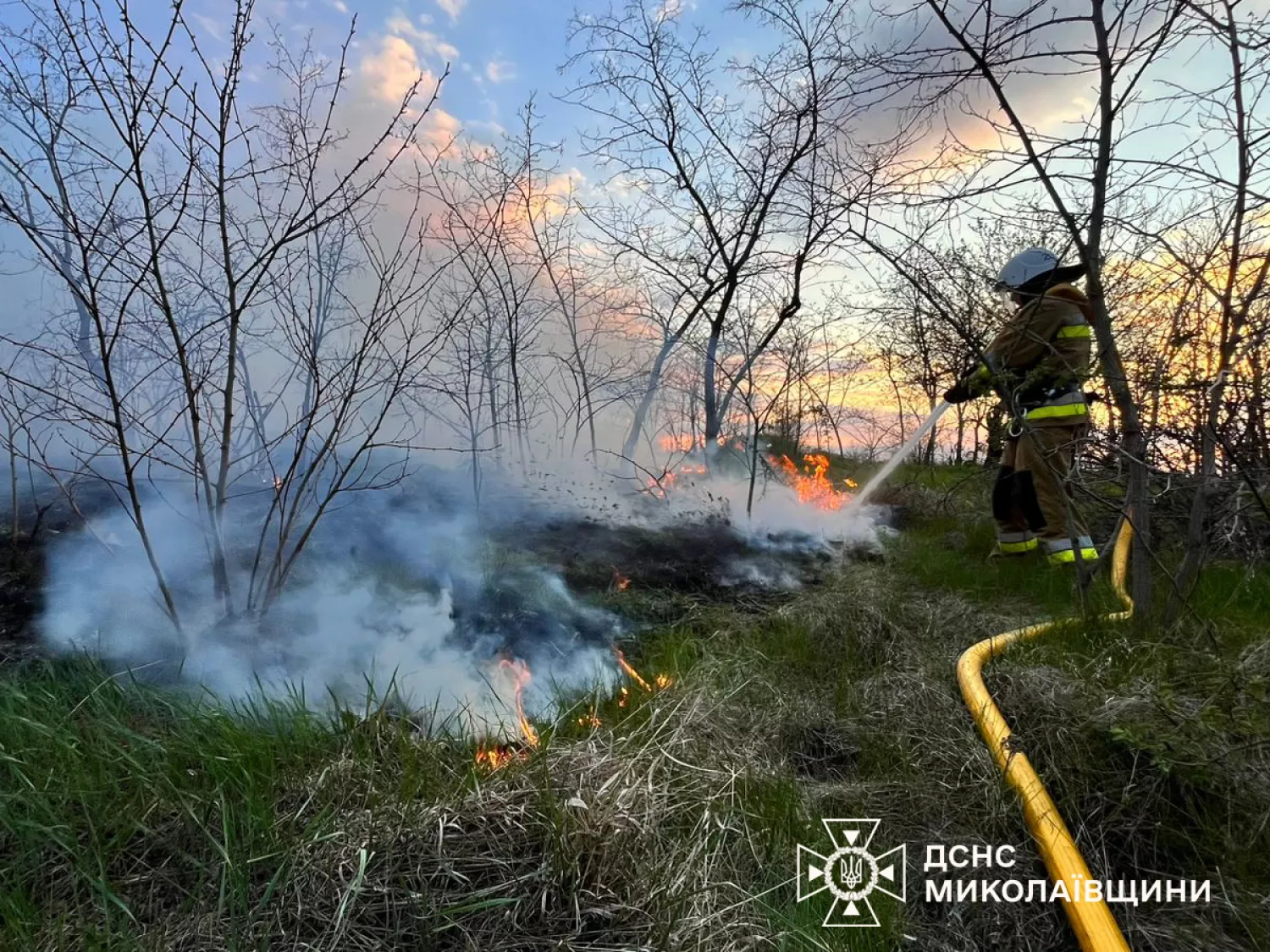 Пожежа у Миколаївській області. Фото: ДСНС