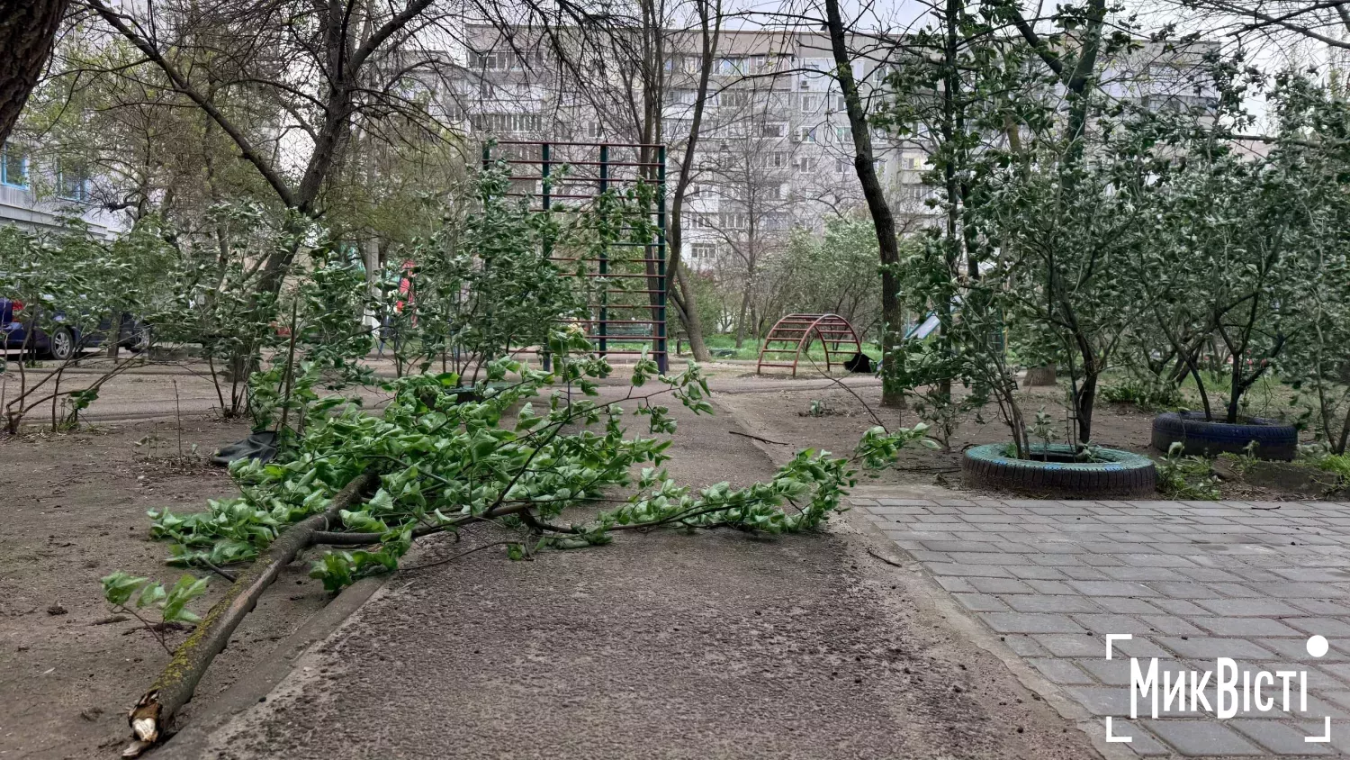 Вітер валить дерева і рве дроти: частина Миколаївщини знеструмлена, 26 квітня. Фото: МикВісті