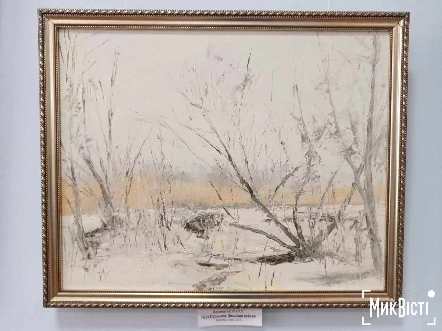 У Миколаєві відкрилась виставка пам’яті художника Меркулова, фото Галина Сеннікова, НикВести