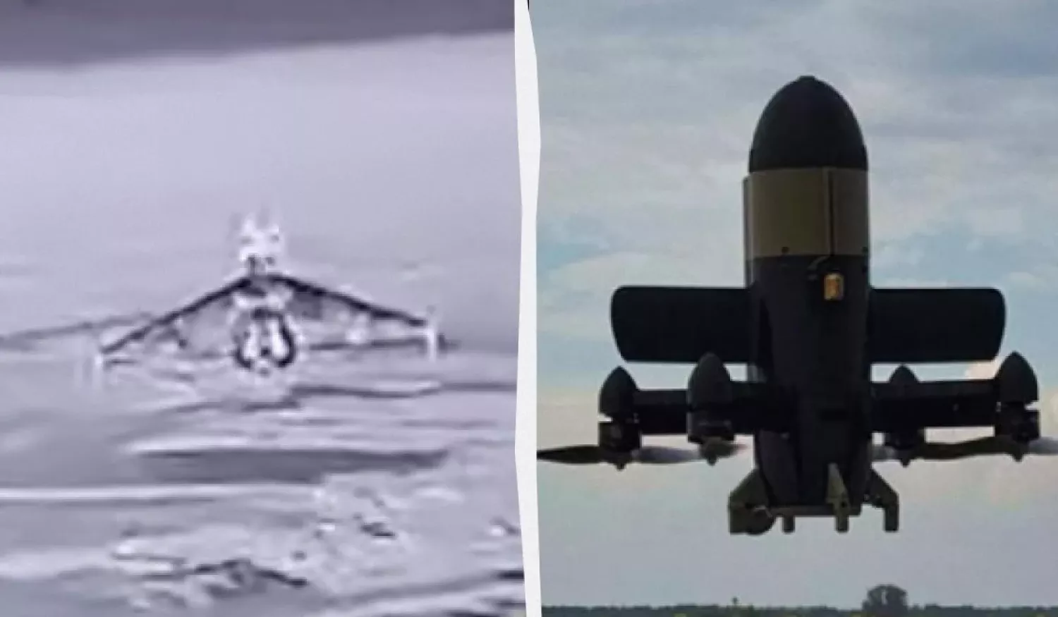 Воїн збив російські Шахеди перехоплювачем STING. Фото — Wild Hornets