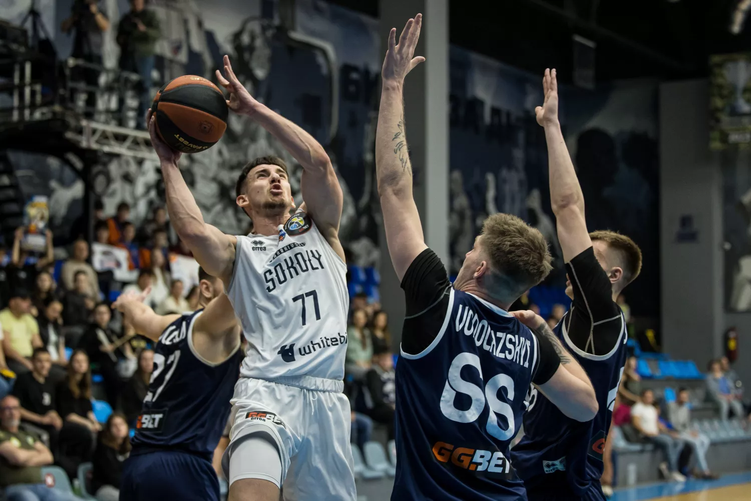 Миколаївський «Ніко-Баскет» зазнав поразки від «Харківських Соколів». Фото: Федерація баскетболу України