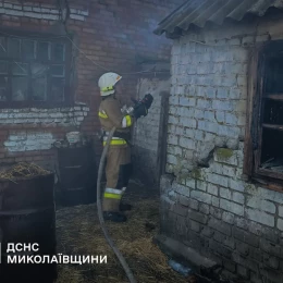 Пожежа у Миколаївській області. Фото: ДСНС