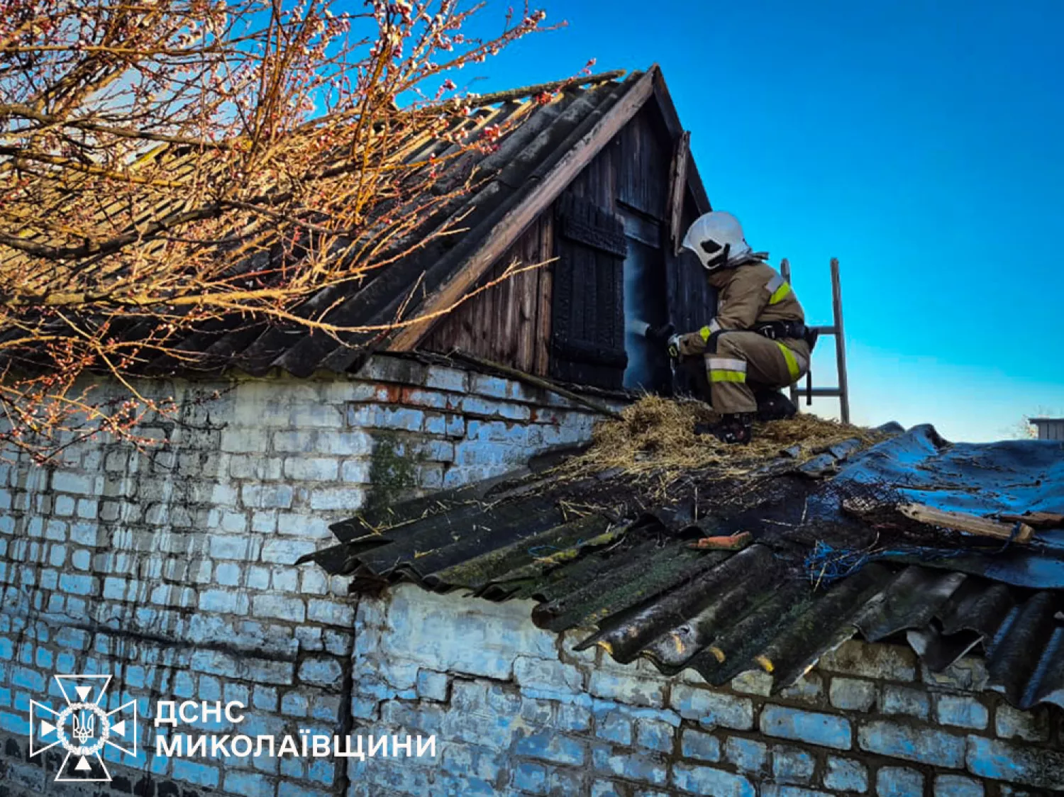 Пожежа у Миколаївській області. Фото: ДСНС