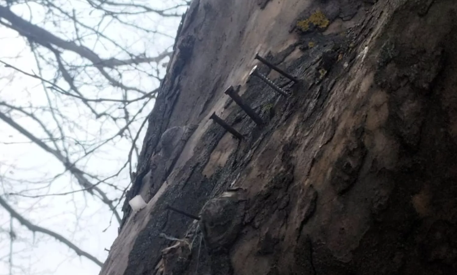 Фото: Держекоінспекція