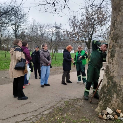У Миколаєві біля стихійного ринку в деревах знайшли цвяхи. Фото: Держекоінспекція