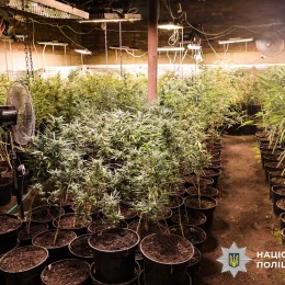 Поліція затримала підозрюваних в наркобізнесі. Фото: Нацполіція