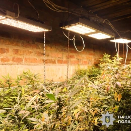 Поліція затримала підозрюваних в наркобізнесі. Фото: Нацполіція