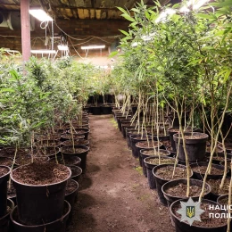 Поліція затримала підозрюваних в наркобізнесі. Фото: Нацполіція