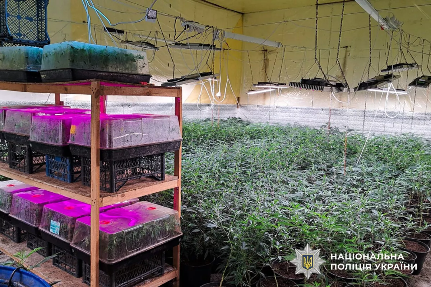 Поліція затримала підозрюваних в наркобізнесі. Фото: Нацполіція