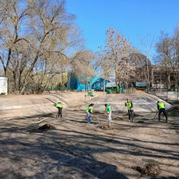 Миколаївському зоопарку містяни допомогли прибрати ставки. Фото: Миколаївський зоопарк