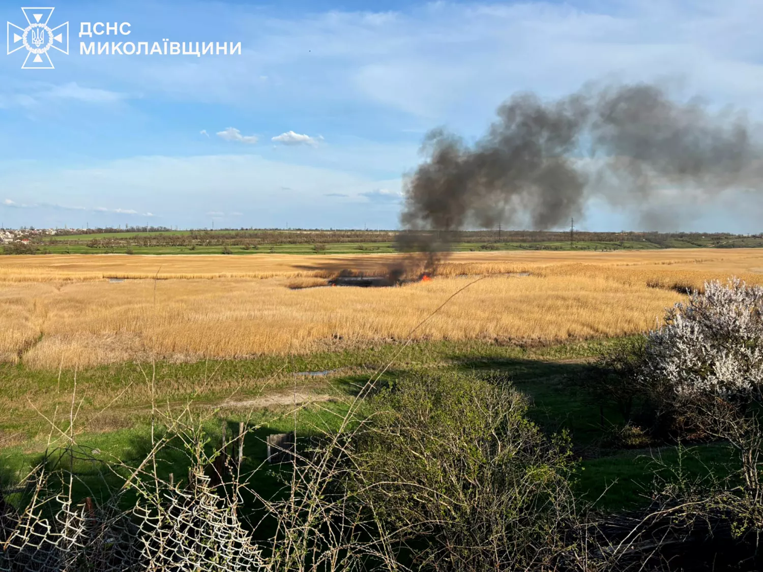 Пожежа у Миколаївській області. Фото: ДСНС