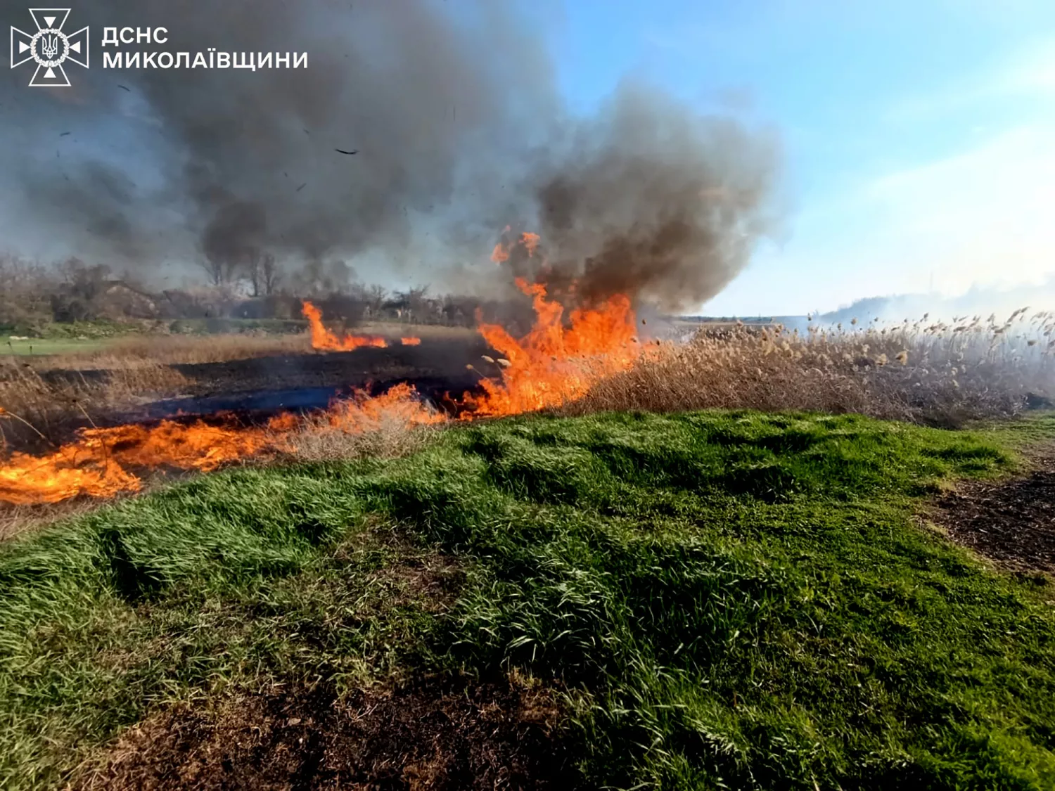 Пожежа у Миколаївській області. Фото: ДСНС
