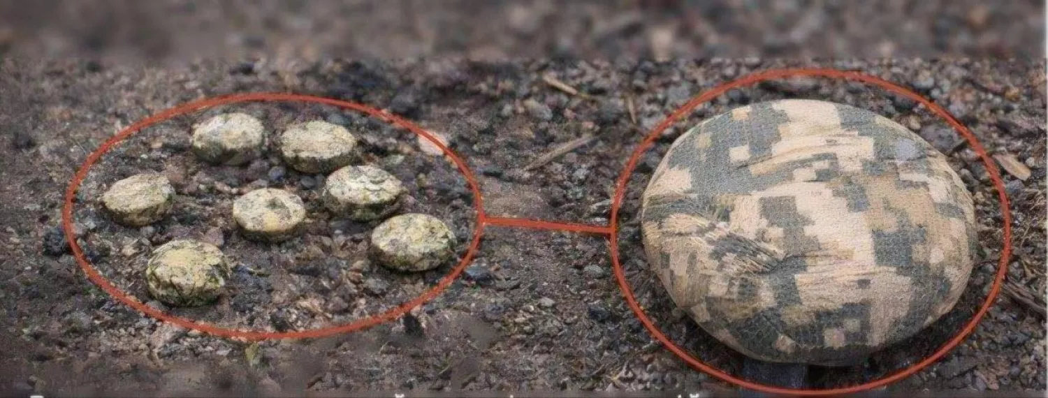 Міни типу «Пряник». Фото: Ярослав Шанько