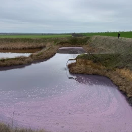 Директор виноробного заводу на Одещині отримав підозру через забруднення довкілля. Фото: Держекоінспекція