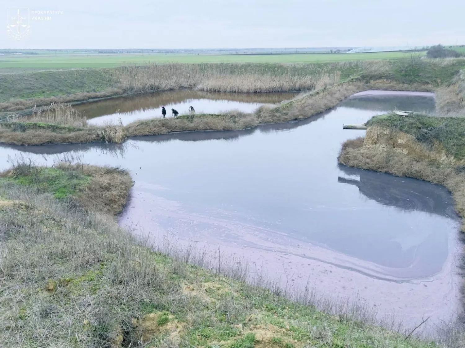 Директор виноробного заводу на Одещині отримав підозру через забруднення довкілля. Фото: Прокуратура Одеської області