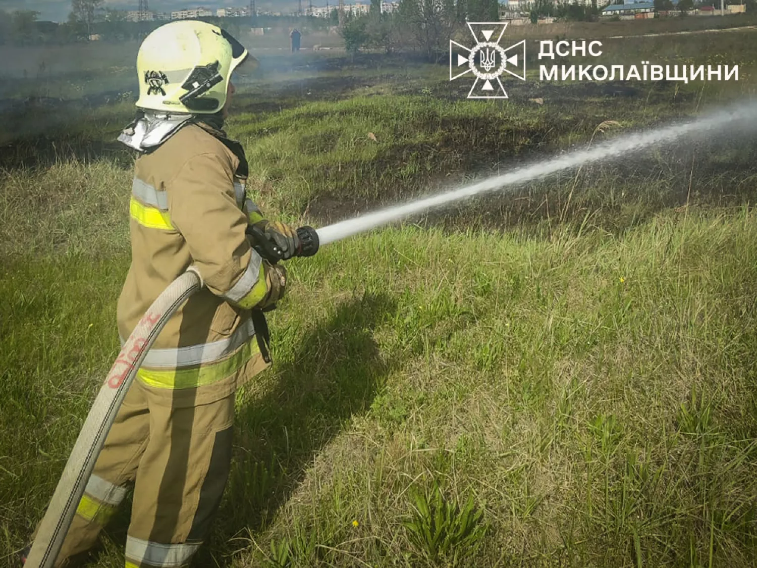 Пожежа у Миколаївській області. Фото: ДСНС
