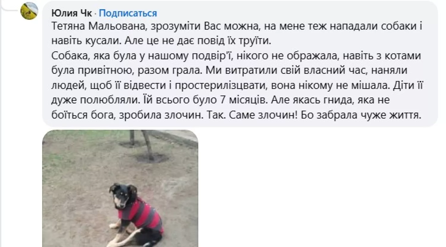Жителі міста повідомляють про випадки гибелі домашніх улюбленців. Скриншот з Facebook