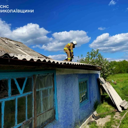 Ліквідація пожежі у Миколаївській області. Фото: ДСНС