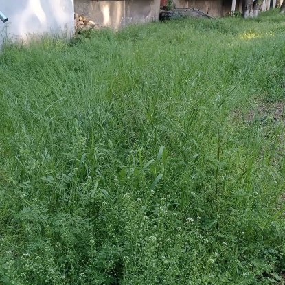 Територія біля будинку за адресою Курортна, 3-Б. Фото: Тетяна Ткаченко