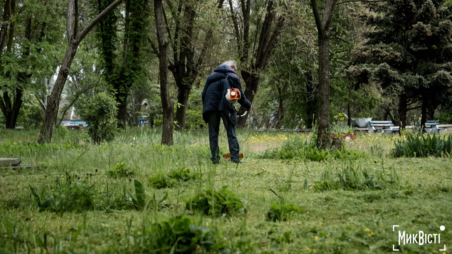 Занедбана територія навколо спортивного комплексу «Водолій» у Миколаєві. Фото: МикВісті