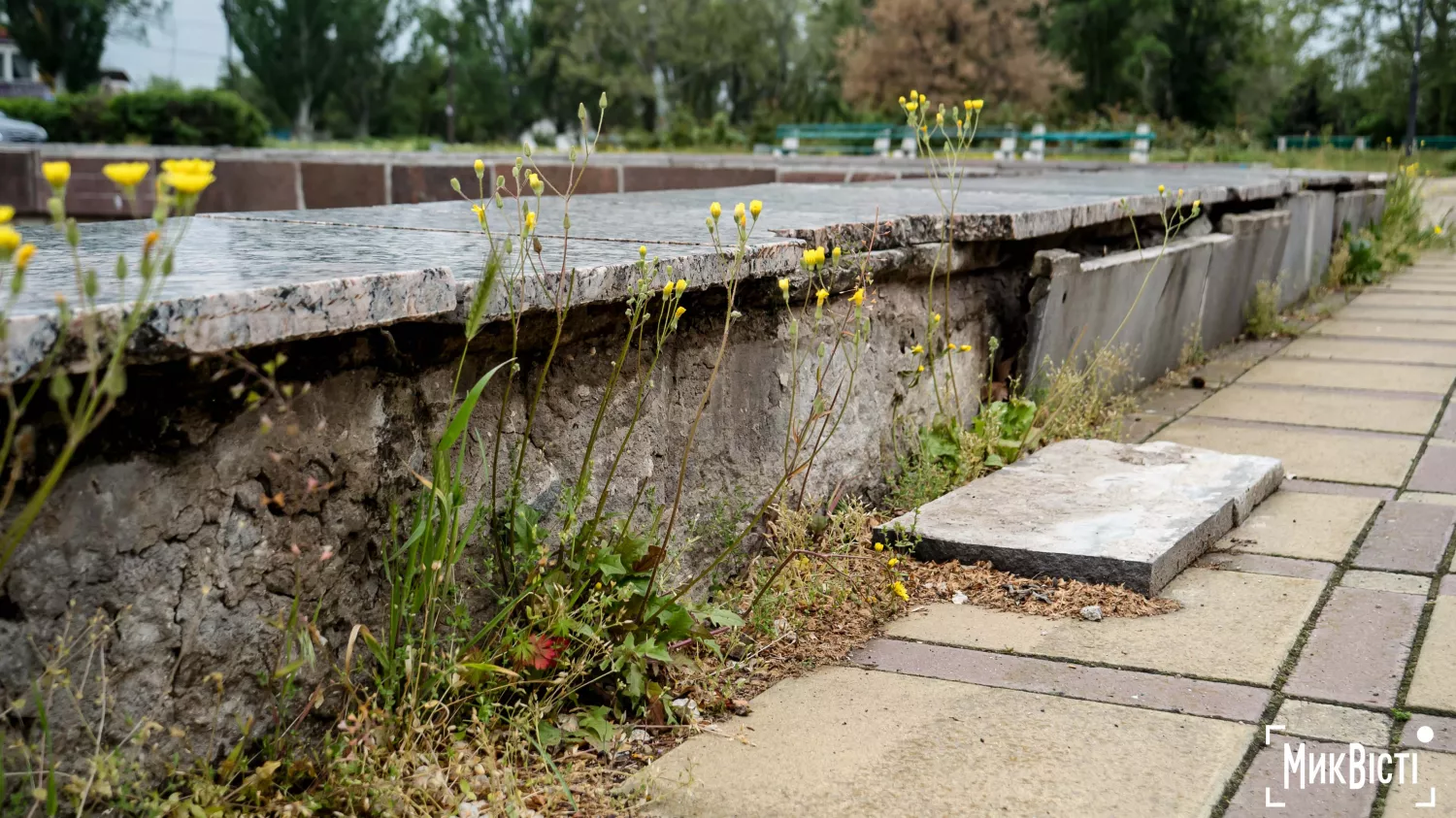 Занедбана територія навколо спортивного комплексу «Водолій» у Миколаєві. Фото: МикВісті