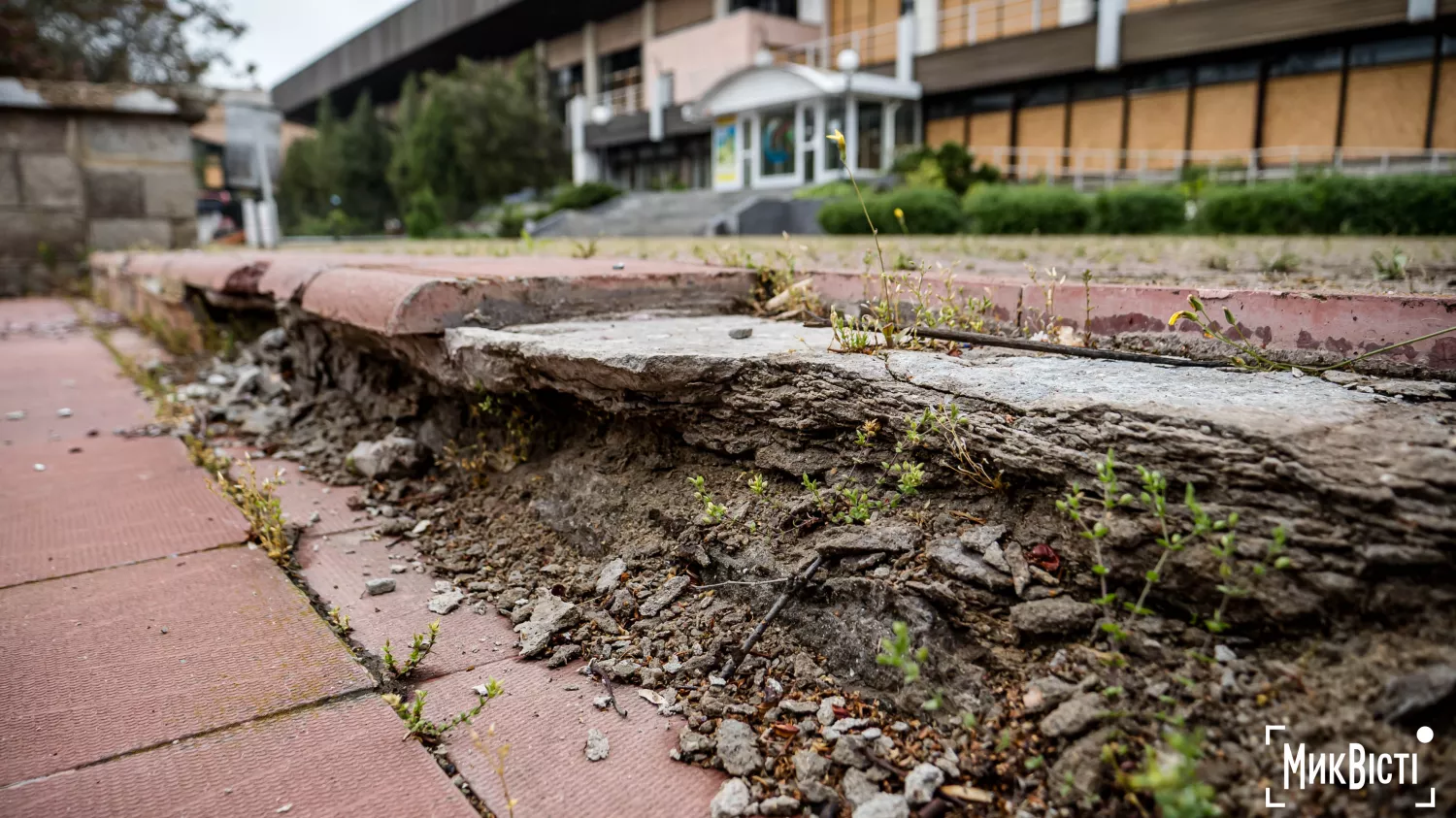 Занедбана територія навколо спортивного комплексу «Водолій» у Миколаєві. Фото: МикВісті