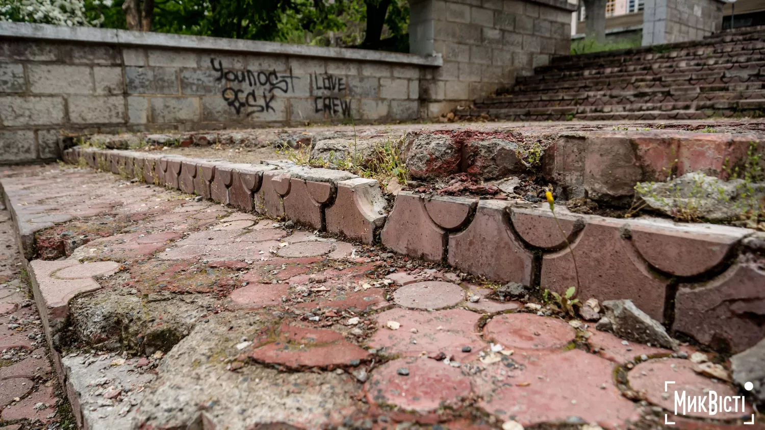 Занедбана територія навколо спортивного комплексу «Водолій» у Миколаєві. Фото: МикВісті