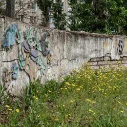 Сміття та непокошена трава на майданчику. Фото: МикВісті