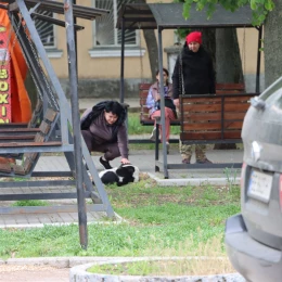 У Вознесенську відловили безпритульних собак. Фото: Вознесенська міська рада