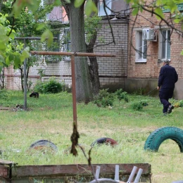 У Вознесенську відловили безпритульних собак. Фото: Вознесенська міська рада