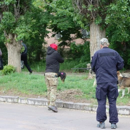 У Вознесенську відловили безпритульних собак. Фото: Вознесенська міська рада