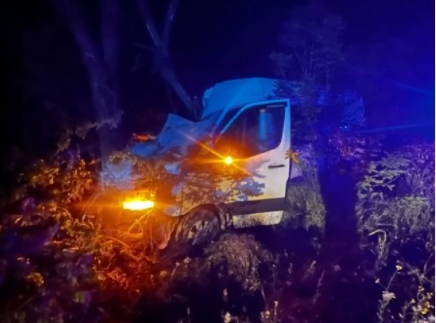 Маршрутка влетіла в дерево, 3 пасажирки травмовані. Фото: Нацполіція