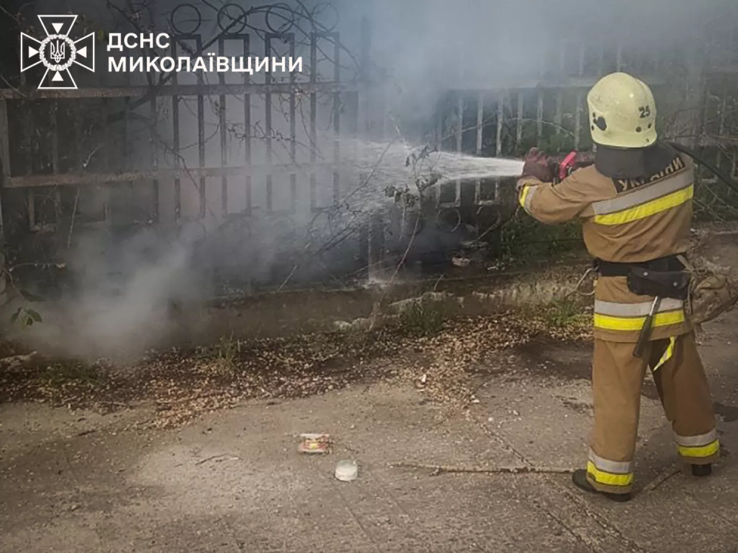 Пожежа у Миколаївській області. Фото: ДСНС