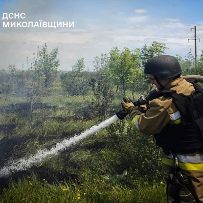 Пожежа у Миколаївській області. Фото: ДСНС