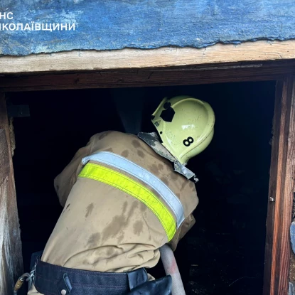 Пожежа у Миколаївській області. Фото: ДСНС