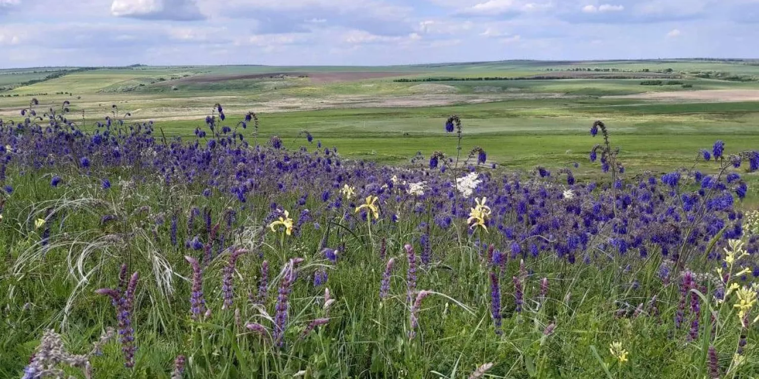 Заповідні зони. Ілюстративне фото: Прибужанівська ОТГ