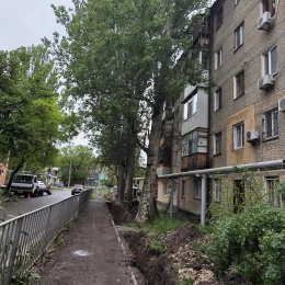 Стан аварійний дерев за адресою 1-а Лінія, 27 у Миколаєві. Фото: Людмила Черняєва