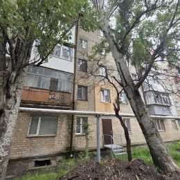 Стан аварійний дерев за адресою 1-а Лінія, 27 у Миколаєві. Фото: Людмила Черняєва