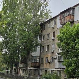 Стан аварійний дерев за адресою 1-а Лінія, 27 у Миколаєві. Фото: Людмила Черняєва