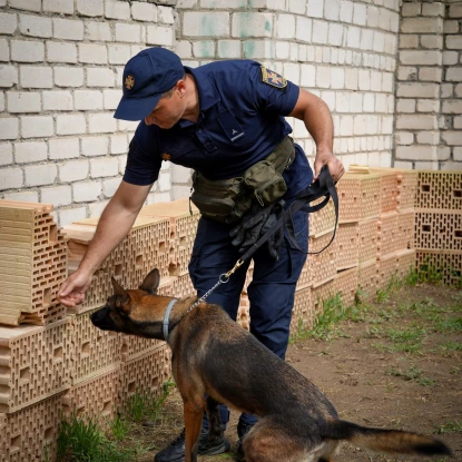 На Миколаївщині з'явились 4 собаки-розміновувачі. Фото: ДСНС