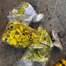 На Одещині посадовців підозрюють у розкраданні ₴20 мільйонів держпідтримки тваринництва. Фото: Прокуратура Одеської області