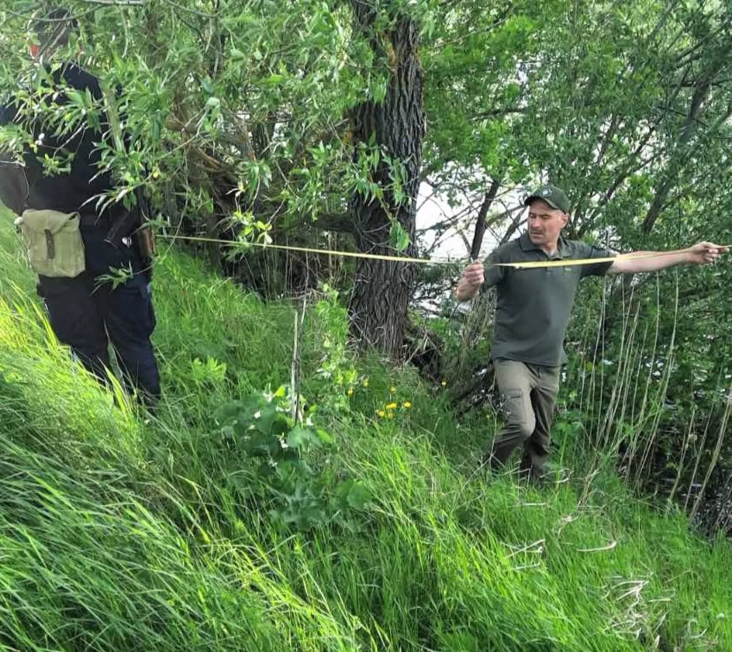Біля Південного Бугу знайшли засіяну ячменем ділянку. Фото: Державна екоінспекція Південно-Західного округу