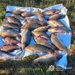 Поліція зафіксувала 26 фактів незаконного вилову риби. Фото: Нацполіція