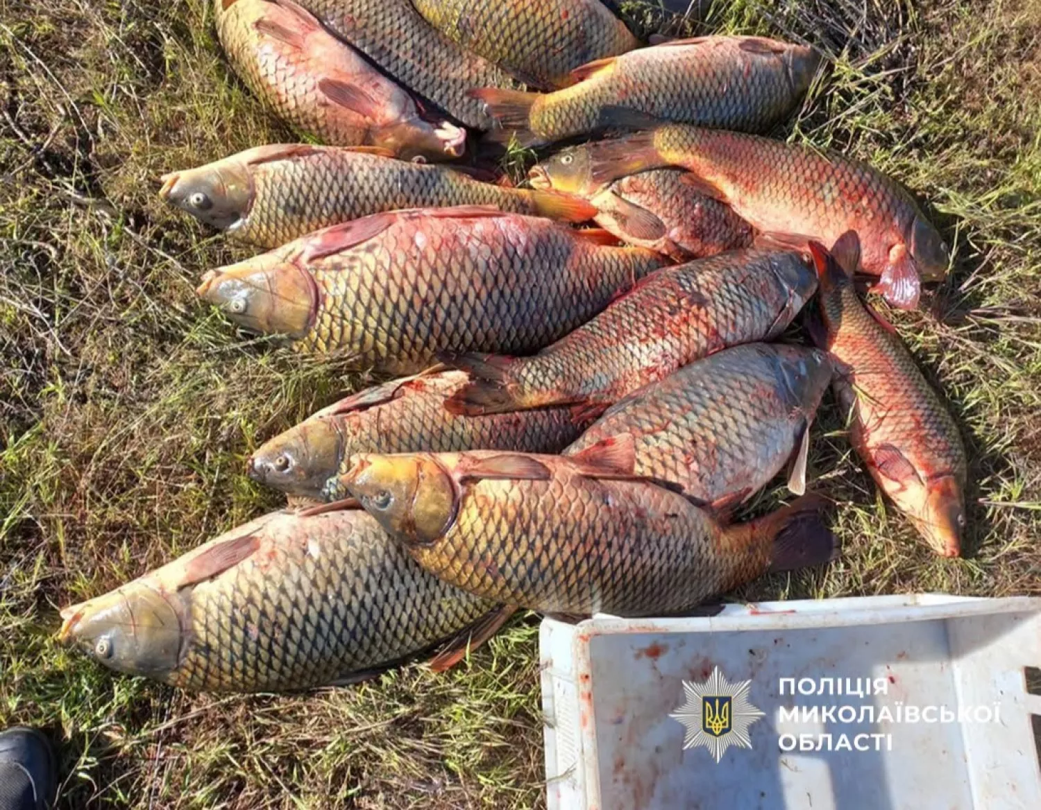 Поліція зафіксувала 26 фактів незаконного вилову риби. Фото: Нацполіція