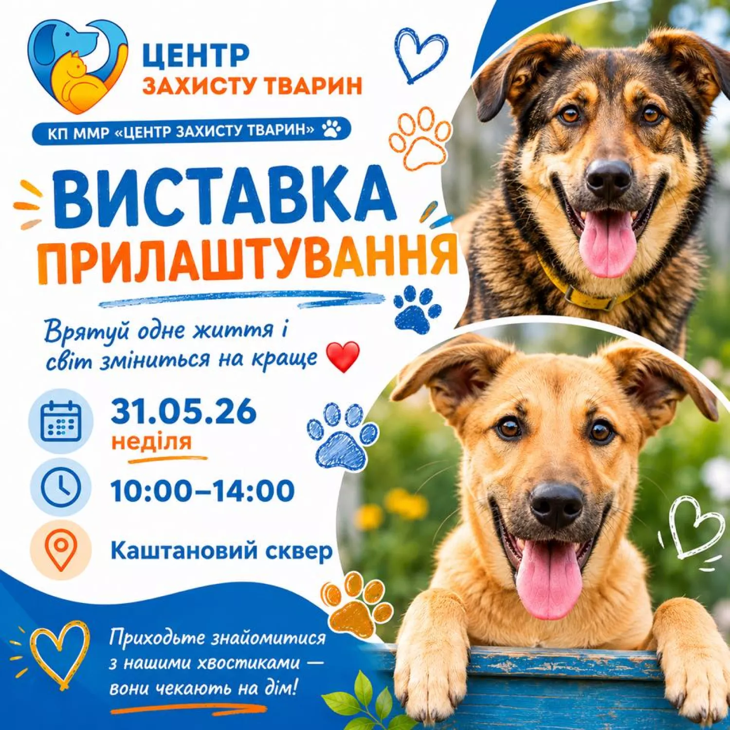У Миколаєві 31 травня проведуть виставку-прилаштування тварин. Фото: «Центр захисту тварин»