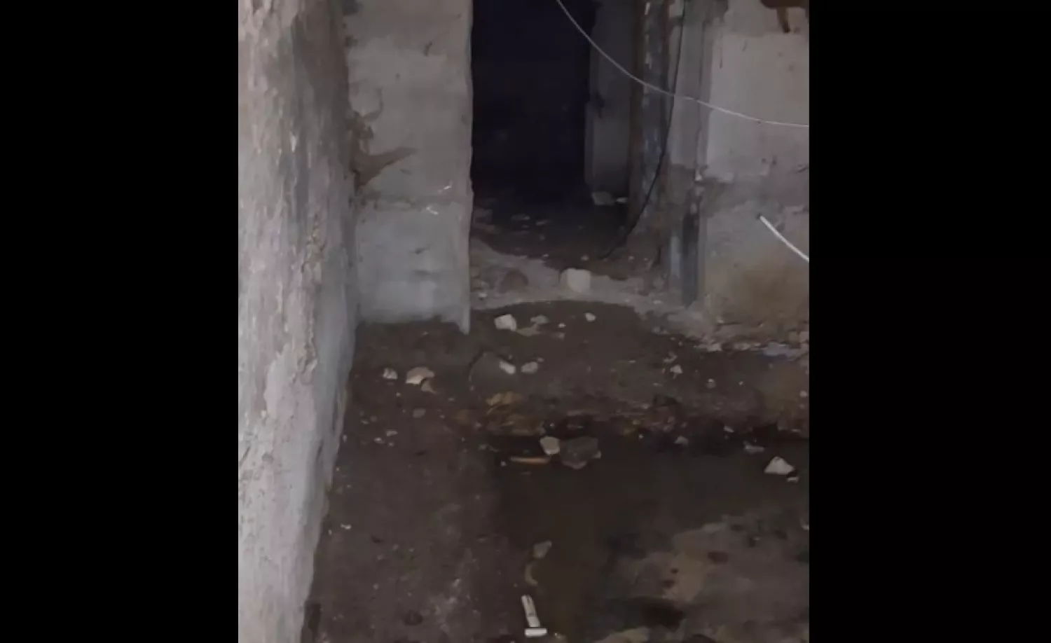 Стан підвалу у будинку. Скриншот з відео