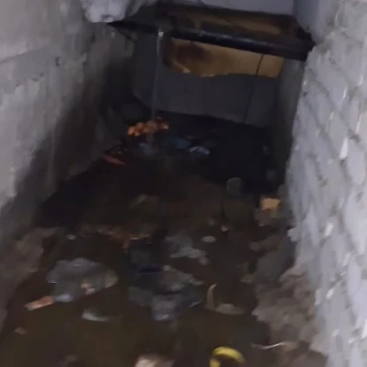 Стан підвалу у будинку. Скриншот з відео