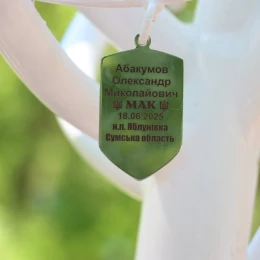 У Вознесенську відкрили інсталяцію на честь зниклих безвісти захисників. Фото: міська влада Вознесенська