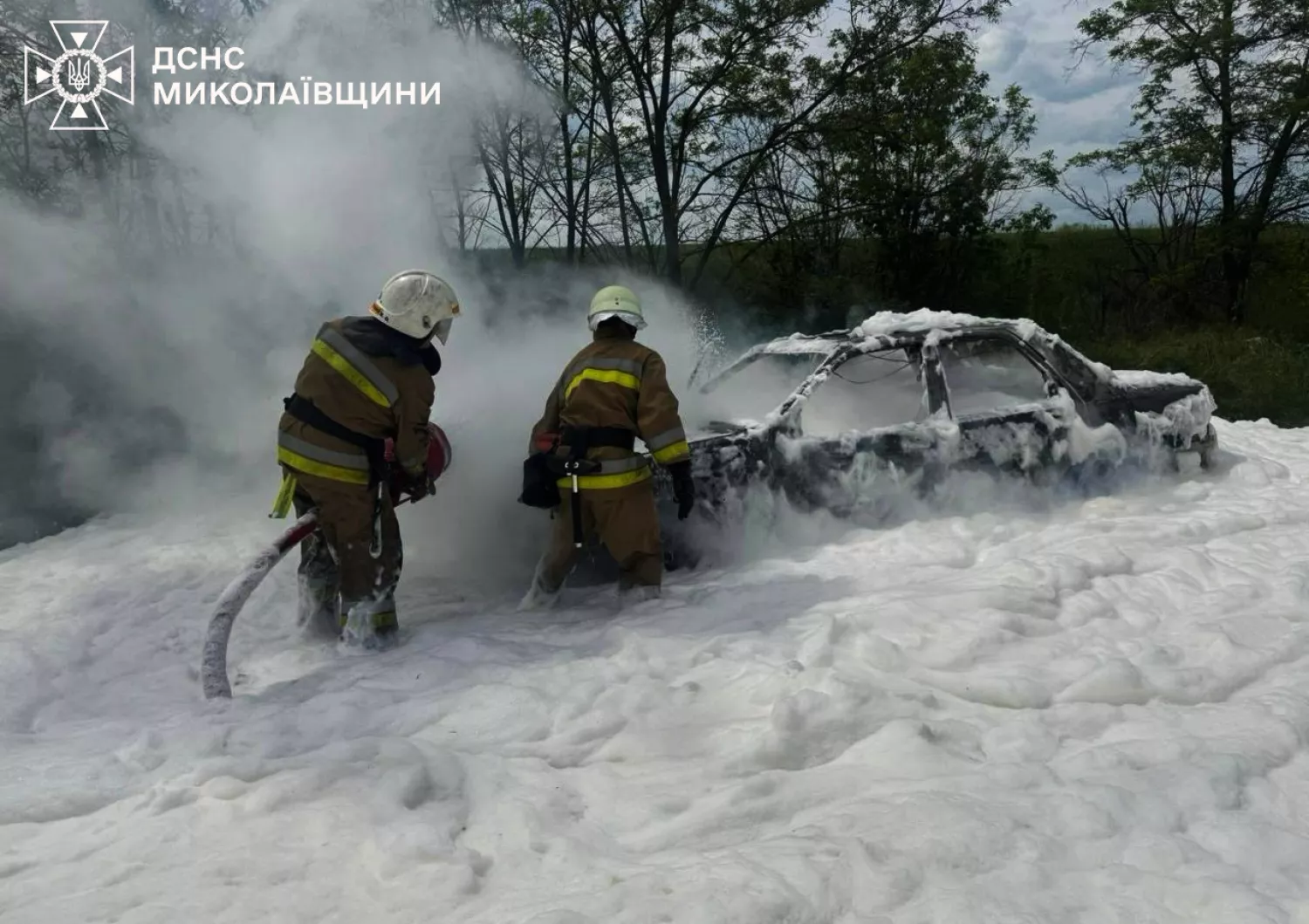 Пожежа на Миколаївщині. Фото: ДСНС